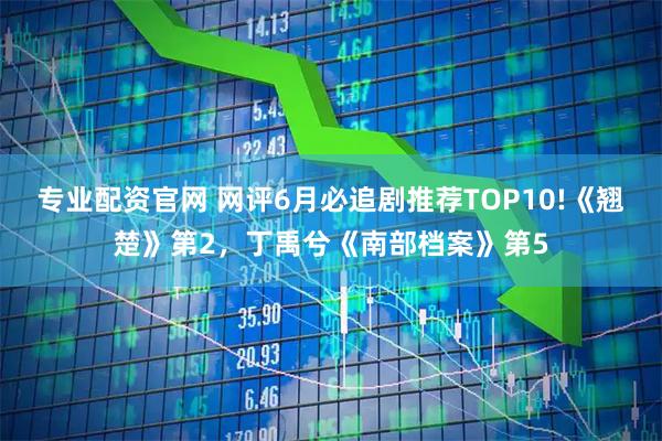 专业配资官网 网评6月必追剧推荐TOP10!《翘楚》第2，丁禹兮《南部档案》第5