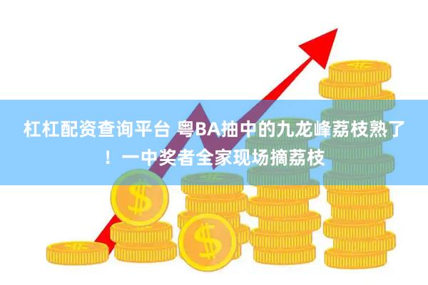 杠杠配资查询平台 粤BA抽中的九龙峰荔枝熟了！一中奖者全家现场摘荔枝